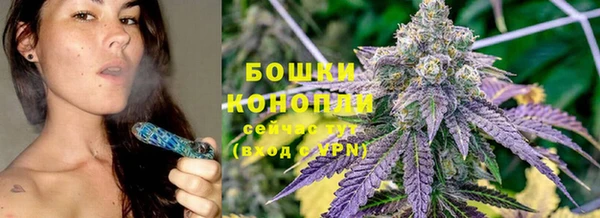соль ск Богданович