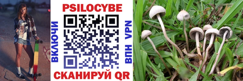 МЕГА ссылки  Долинск  Галлюциногенные грибы Psilocybe 